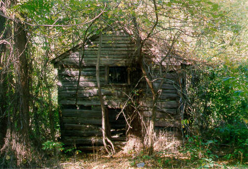 18th Century Log House, East View