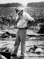 Prof. Deetz contemplates a feature at the Flowerdew Hundred site; photograph by Eugene Prince